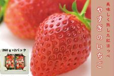 Y@₷̂@gق260g×2yo[~08z