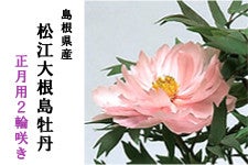 Y]卪OipQ֍jyo[~18z