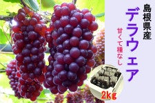 Y fEFA 2kg iGj(4/28`5/2j