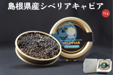 �y���̓��z�������Y�V�x���A�L���r�A�@10g
