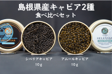 �y���̓��z�������Y�L���r�A2��@�H�ה�׃Z�b�g