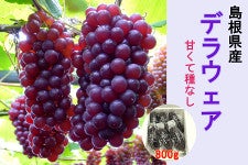 Y fEFA 800g i4/28`5/2j