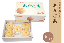 Y  5kg