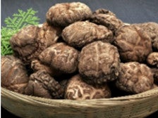 Y؊őǂ 140g