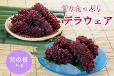y̓zY fEFA 2kg