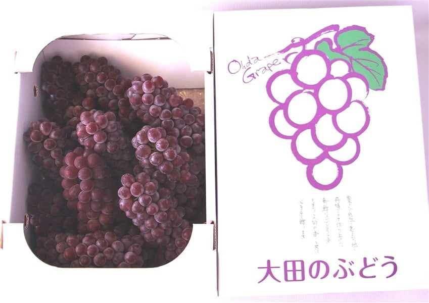 ショッピング 島根ぶどう デラウェア切り房650g 34 ぶどう デラウェア 切り房(60)