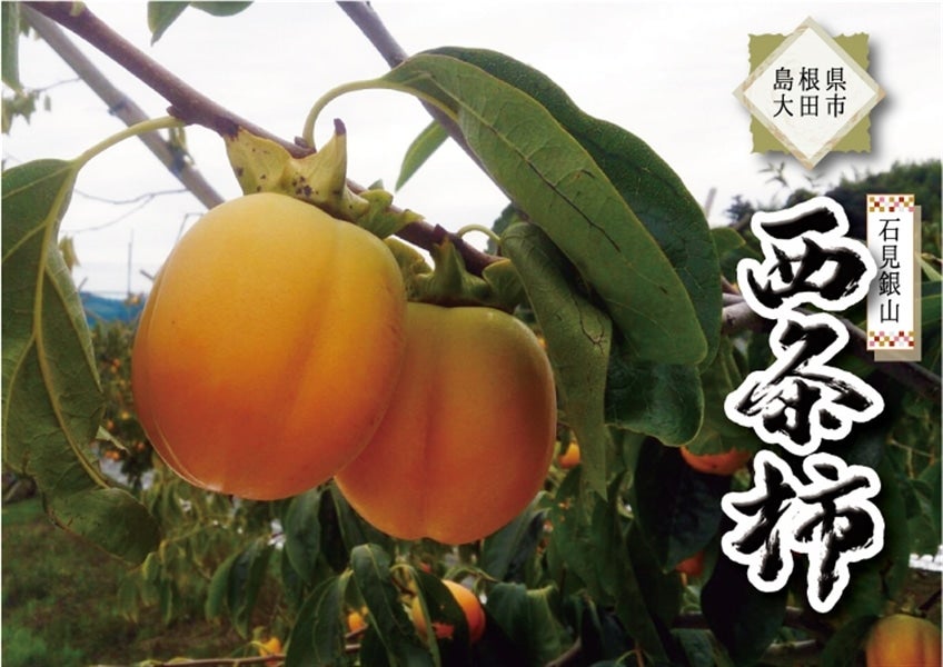 島根県大田市産 『石見銀山西条柿』 5kg（2L） 【ご贈答用にも