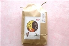 �Ό���R�X���n����P�T�s�i�ߘa�V�N�Y��P�j