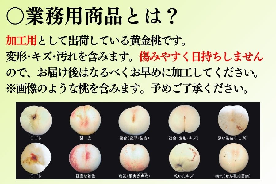 業務用】加工用黄金桃 4kg (8月下旬頃～9月中旬発送) 岡山県産