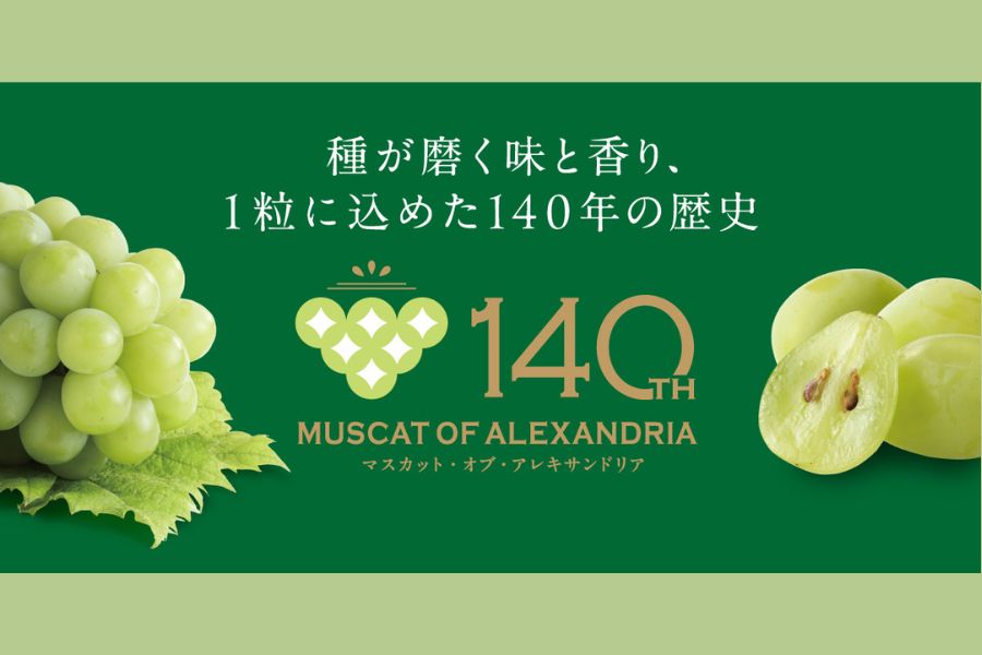 朱2024／颯2023 2本セット GrapeShip: おいしいおかやま|【JAタウン