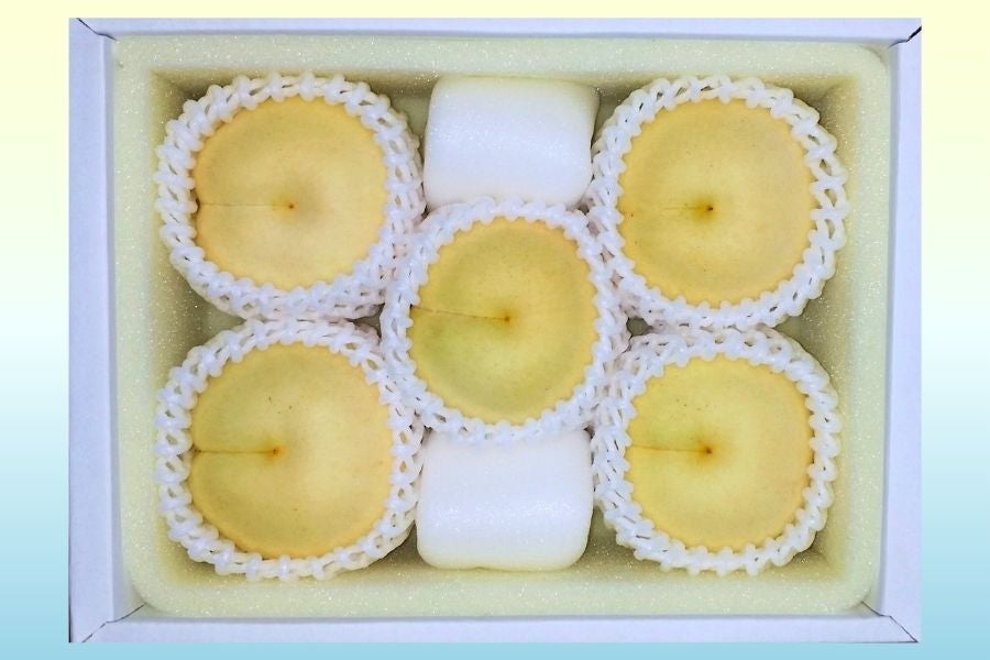  2024年おすすめのアイテム満載 数量限定】冬桃がたり5～7玉 (11月下旬頃～12月上旬発送) 岡山 果物