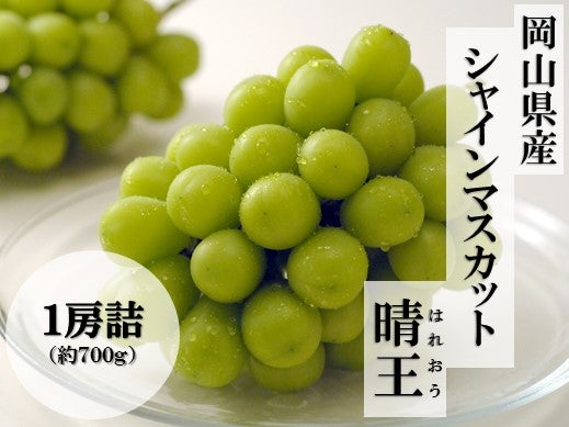 岡山県産 シャインマスカット晴王 約5キロ - 果物