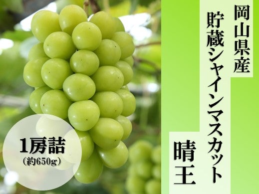 産地直送 通販 お取り寄せ冷蔵シャインマスカット晴王 1房詰 岡山県産 １２月上旬頃 発送 おいしいおかやま ｊａタウン