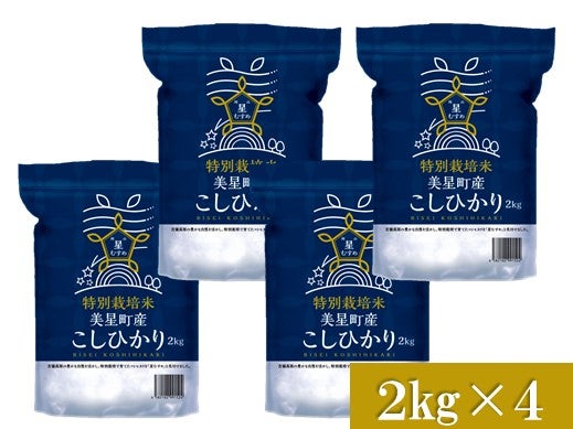 特別栽培米こしひかり2s×4/岡山県美星町産(星むすめ)【7年産】【お歳暮】