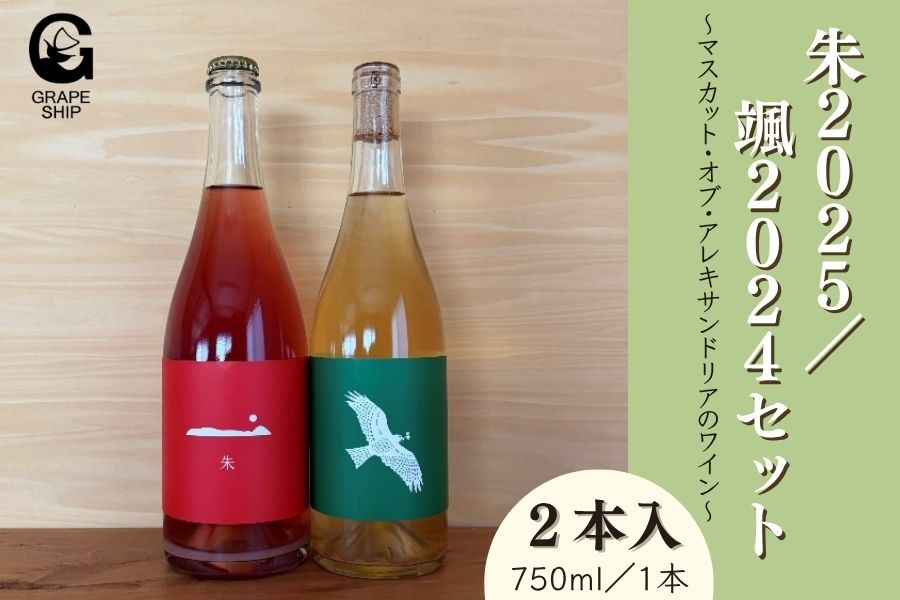朱2025／颯2024 2本セット GrapeShip: おいしいおかやま|【JAタウン