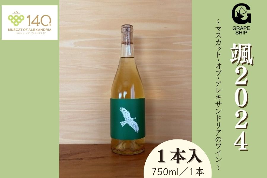 颯2024 1本 GrapeShip: おいしいおかやま|【JAタウン】産地直送 通販