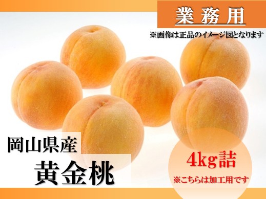 【ゆな】黄金桃　4キロ箱　ご自宅用 業務用】加工用黄金桃 4kg (8月下旬頃～9月中旬発送) 岡山県産