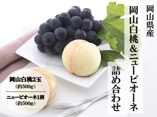 日本製定番 桃 7月 ニュー ピオーネ 8月 シャインマスカット 9月 約2kg