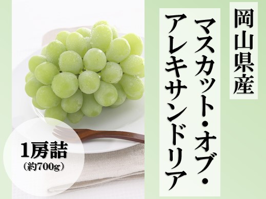 マスカット・オブ・アレキサンドリア1房詰（7月下旬頃～8月上旬発送 