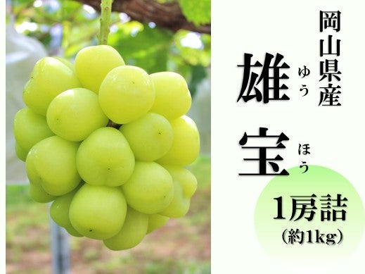 RY Yi䂤قjP[li1.1kgj9{`9{\yʌz