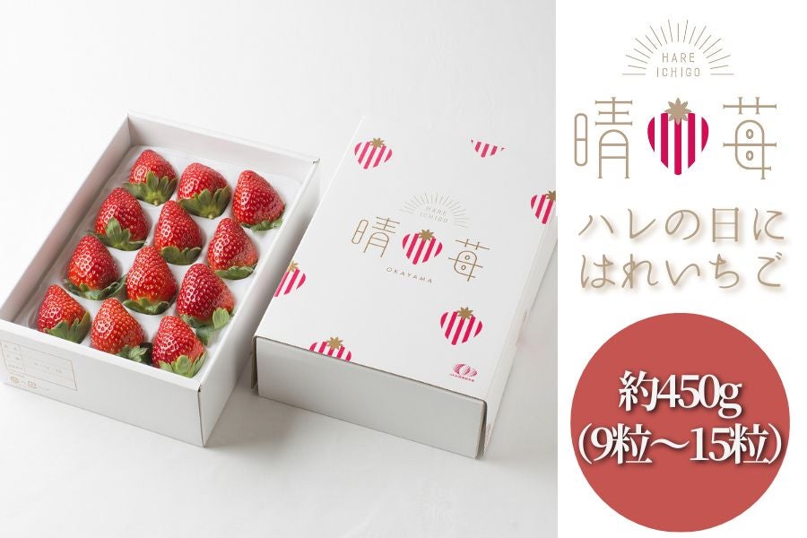 ��䕁i���R���Y�������j���ϔ��^450g�i9�`15������j