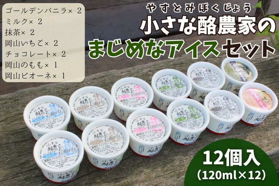 �y��̓��z�yYAZ-12�z�����ȗ��_�Ƃ̂܂��߂ȃA�C�X�Z�b�g�i12���j