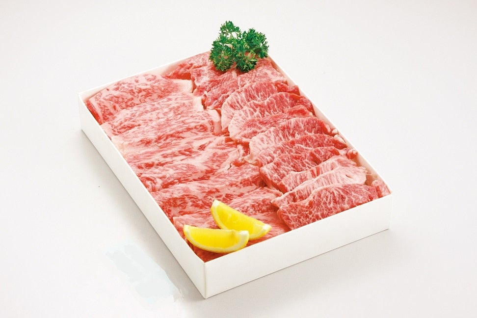 おかやま和牛肉 焼肉盛り（500g） 【お中元】