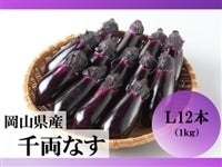 RY 痼Ȃ LPkgi12{jyoחjŒz