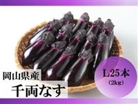 RY 痼Ȃ LQkgi25{j