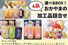 ホームメイドのお菓子十二か月　飲み物　女子栄養大学　十二か月シリーズ8　絶版希少 お歳暮】選べるBOX！おかやまの加工品詰合せ（4品）: おいしい