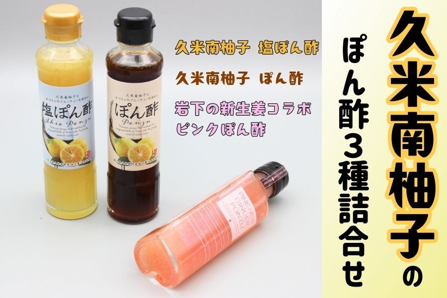 �y��̓��z�v�ē�̗M�q�|���|�����̐V���I�R���{���I�|���| �l����