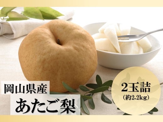 産地直送 通販 お取り寄せ梨 なし ｊａタウン