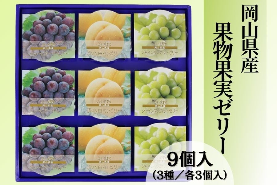 岡山産果物果実ゼリー（９個入り）