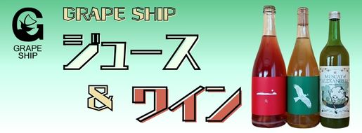 颯2024 1本 GrapeShip: おいしいおかやま|【JAタウン】産地直送 通販