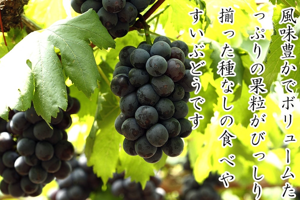 䌴sI[l