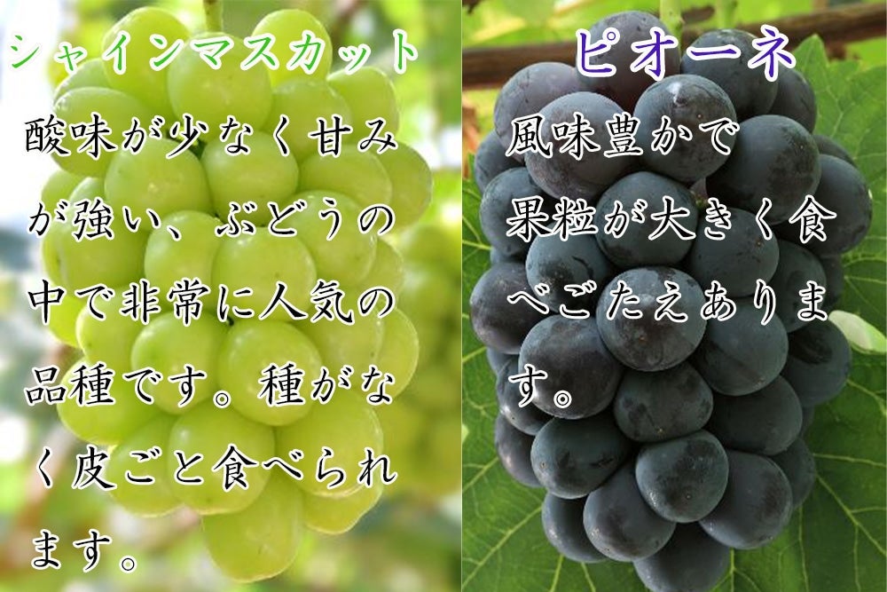 R䌴YVCEsI[l