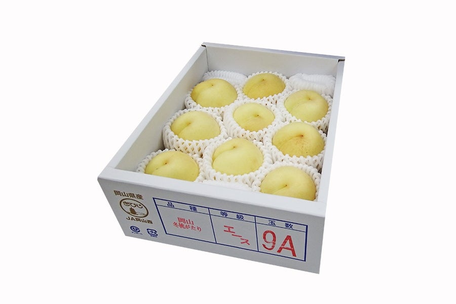 【国消国産】 岡山の冬桃9玉(冬桃がたり良)