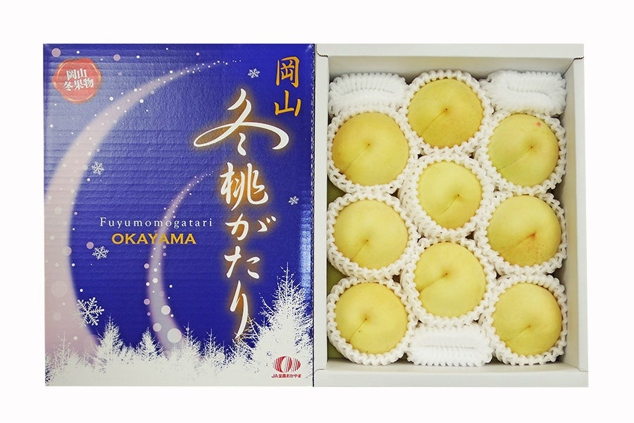 【国消国産】 岡山の冬桃9玉(冬桃がたり良)