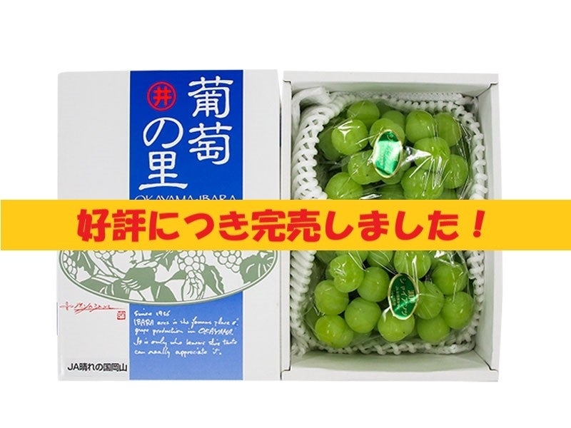 岡山県産ぶどう 瀬戸ジャイアンツ 皮パリッ 爽やかな甘み 旬の味覚 季節のフルーツ ネプリーグ 岡山県産ぶどう 瀬戸ジャイアンツ 皮パリッ 爽やかな甘み 旬の味覚 季節のフルーツ ネプリーグ
