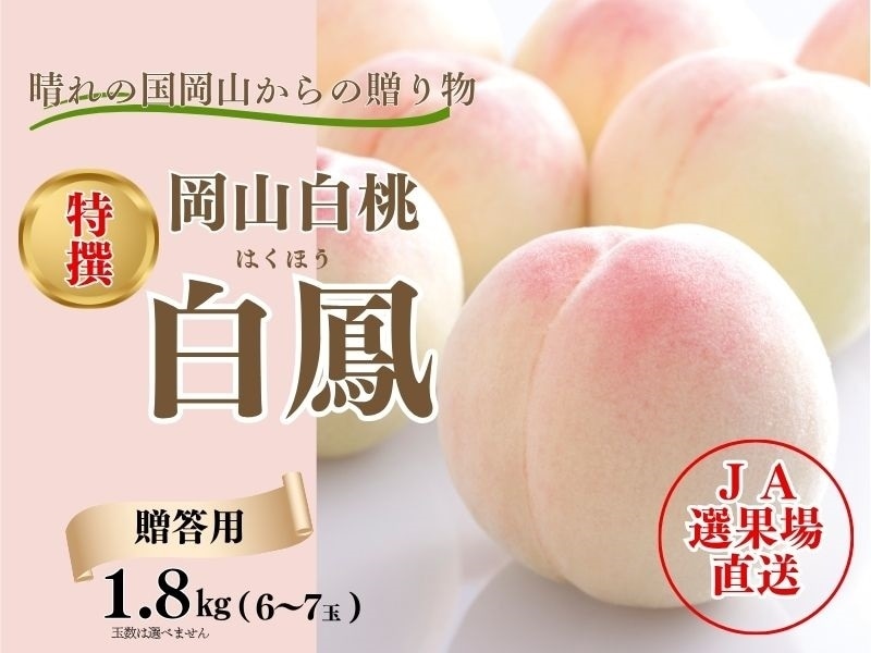 ひなた　岡山産　白桃　白鳳　4k✖️3箱 お中元】 岡山の白桃【特選白鳳】: JA晴れの国岡山|【JAタウン】産地