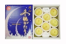 【国消国産】 岡山の冬桃(冬桃がたり)6玉〜8玉
