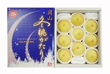 【国消国産】 岡山の冬桃9玉(冬桃がたり)