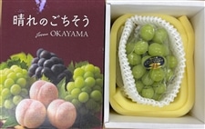 �V���C���}�X�J�b�g1�[�y�N�[���ցz