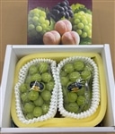�V���C���}�X�J�b�g2�[�y�N�[���ցz