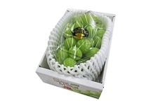 クール便】 シャインマスカット (倉敷市船穂産） 1房700g （数量