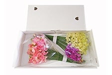  �X�C�[�g�s�[�S�o�Q�k�i�T�O�{×�Q���j