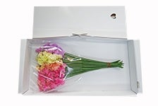 �X�C�[�g�s�[�R�o�Q�k�i�T�O�{�j