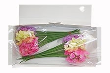 �X�C�[�g�s�[�R�o�Q�k�i�T�O�{×�Q���j