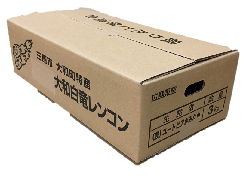 大和白竜レンコン 3㎏: 広島とれたて元気市|【JAタウン】産地直送