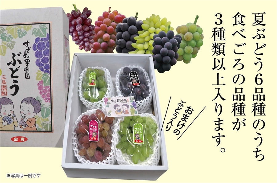 すざわさんの夏ぶどう 詰め合わせ2㎏箱（3～5品種）: 広島とれたて